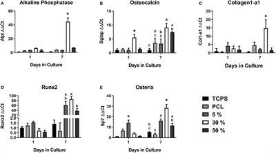 Hydroxyapatite Particle Density Regulates Osteoblastic Differentiation Through β-Catenin Translocation